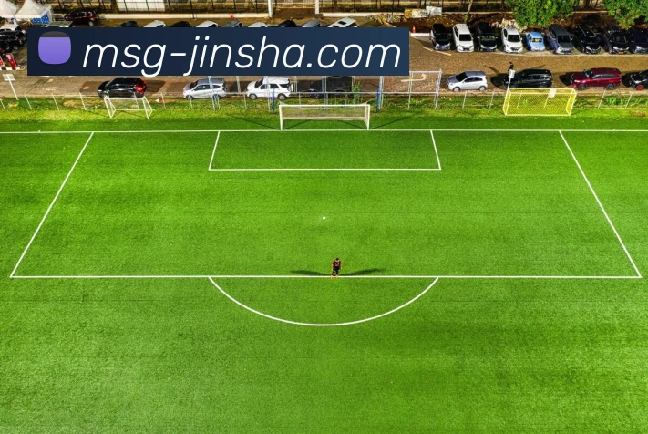 金沙娱乐发展历程